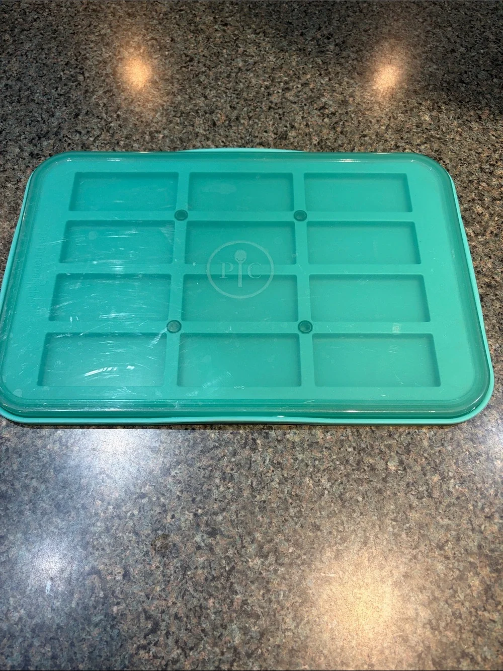 Pampered Chef Teal Silicone Freezer Tray with Lid